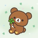 쭌 Daum카페