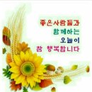 마음 이미지