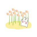 에델바이스카페 이미지