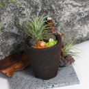 정화어린이집 | 식목일키트 | 4월 식목일행사 지구의달 어린이집 유치원 만들기 활동