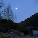 [경북 칠곡 캠핑장] 행화촌 자연테마파크 2박 3일 : 신일 팬히터 1200과 함께한 첫 동계캠핑❄️