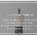 동성세탁 이미지