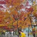 신애라 카카오 검색결과