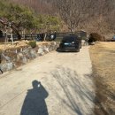 차령펠리스