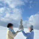 삿포로 3박 4일 여행 /야외 대욕장숙소 추천/맛집/인디고트래블/비에이투어/오타루