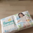 ㈜하진 | 기저귀 유목민 주목 12kg 통통 허벅지 아기가 정착한 팸퍼스 2026 터치 오브 네이처 썸머팬티 솔직후기