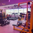 프라이드핏 이미지