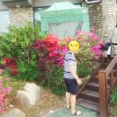 태능솔밭가든 이미지