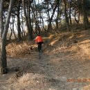 해거름길 이미지