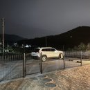 경주 독채 애견펜션 토리하우스 후기