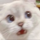 성북26 | 📚성북근현대문학관, 신경림 기획전 리얼 후기