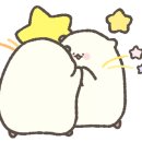 장성상회 이미지