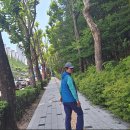 능안근린공원