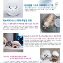 이쁘댕 이미지