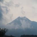 액티브파크(주) 이미지