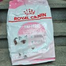 머리쉼터 이미지