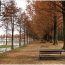 일상의 풍경+마음의 풍경 이미지