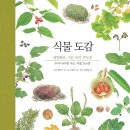 식물도감 - 경주시 중앙로 58 | 식물도감