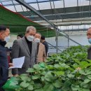 김기수 농장 이미지