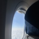 새소망약국 | 2023.01.07 ~ 2023.01.11 겨울에 제주도 가서 설산 하나도 못 본 썰 푼다