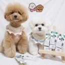 아임마인드 이미지