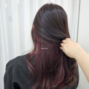 아라동 미용실 마인비헤어 시크릿투톤 염색 후기