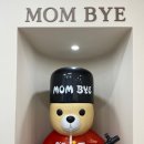 맘츄 | 부산 연산동애견미용 강아지 미용하고 만족한 맘츄 후기