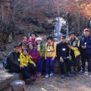 청학동 Daum카페