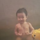 비내청명원 이미지