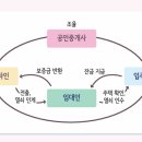세모아부동산공인중개사사무소 이미지