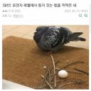 둥지 이미지