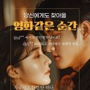 선남선녀 결혼정보 서울신문