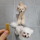 몽쉘몽봉 이미지