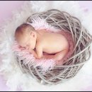 버블워시 이미지