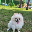 루댕프 네이버블로그
