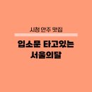 서울의 달 | 시청 안주 맛집 서울의달 내돈내산 후기
