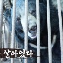 정형농장 이미지