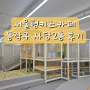 이수어린이집 | 서울형키즈카페 동작구 사당2동ㅣ이수역 21개월 아기랑 방문 후기