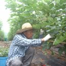 종명농장 이미지