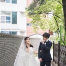 스몰가든 | 서울 중구 어반가든 스몰웨딩 본식스냅 | 정동 가든웨딩 촬영 후기