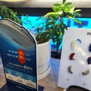 포낙보청기 | 은평구보청기, 벨톤 포낙 가격 비교 구입 후기