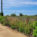 신도2교차로 1 이미지