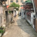 장미이용원 이미지
