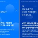 노사레이버