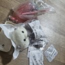 토이파티 | 가끔씩 보이는 꽃이 얼마나 소중한지 몰라 너무 예쁘고 좋아서 여기 남아있는 거겠지