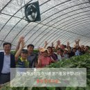 임마누엘농장 이미지