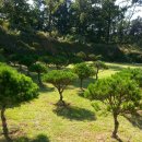 지성병원 이미지