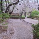 경봉