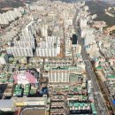 금화 이미지