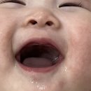 용떡이 이미지